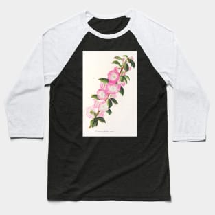 Flowering almond - Botanical Illustration Baseball T-Shirt